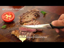 Load and play video in Gallery viewer, STEWART & BRADLEY® Steak Knives set of 4