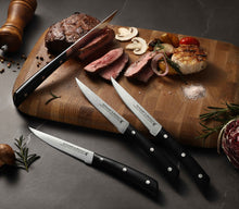 Lade das Bild in den Galerie-Viewer, STEWART &amp; BRADLEY ProChef Series Steak Knives Set, FULL TANG.
