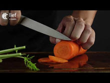 Load and play video in Gallery viewer, Lief + Svein German Steel Knife Block Set, 9-Piece Kitchen Knife Set
